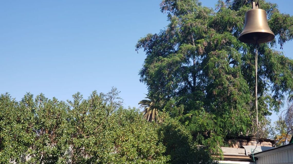 WhatsApp Image 2026-02-25 at 10.20.36 PM