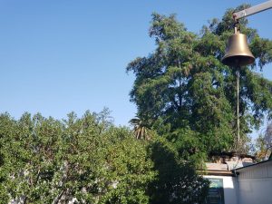 WhatsApp Image 2026-02-25 at 10.20.36 PM